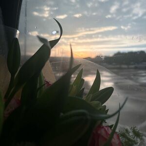 Meet your Posher, Lilliana